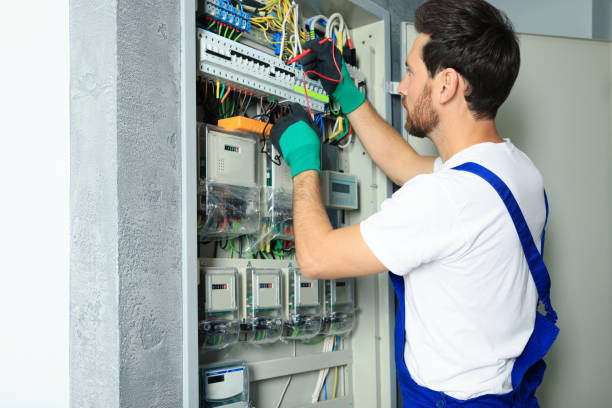 Best Electrical System Inspection  in Wartburg, TN
