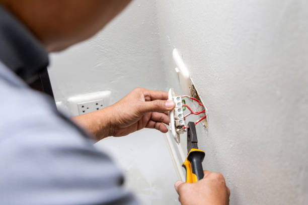 Best Electric Panel Repair  in Wartburg, TN