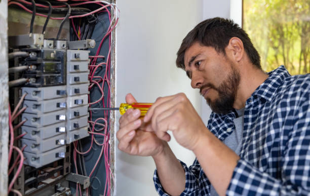 Best Electrician for Home Renovation  in Wartburg, TN